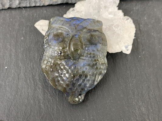 Labradorite Owl Carving 27x35mm Flat Back Gemstone - Natural Iridescent Stone
