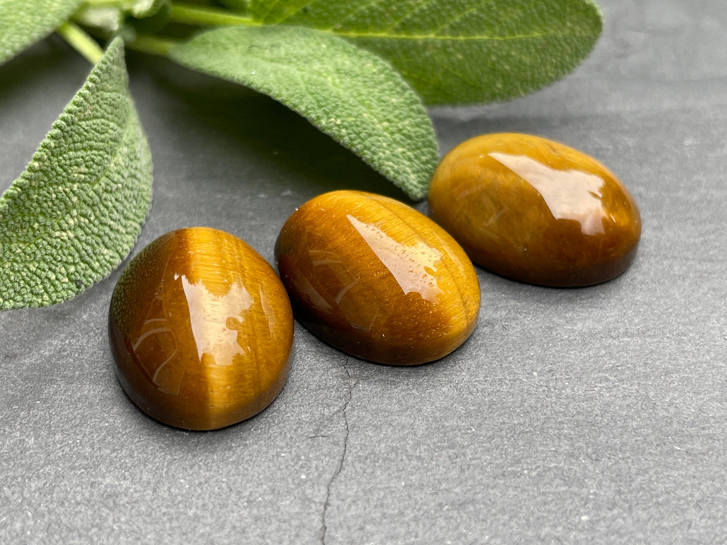 Tiger Eye oval 15x20mm cabochon - Calibrated cabochons