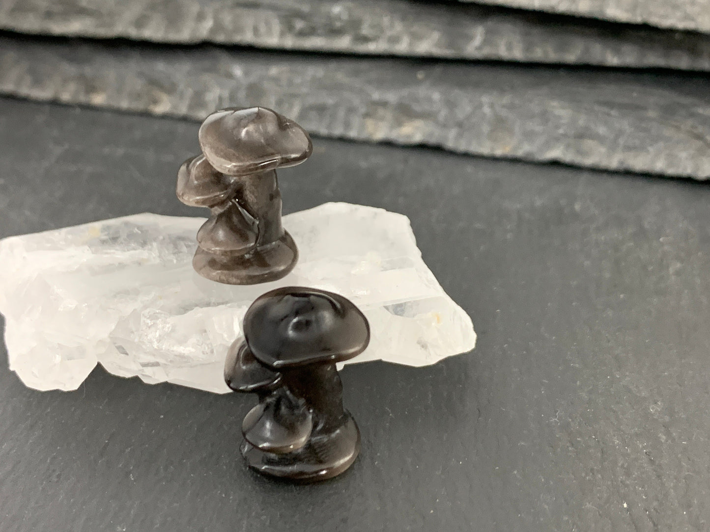 Obsidian Mushroom - Mushroom carving