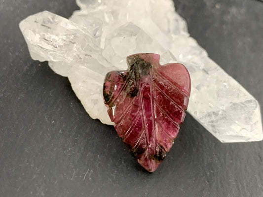 Carved Tourmaline 14x19x4mm cabochon