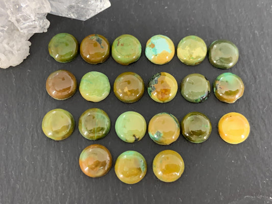 Tibetan Turquoise 7mm round cabochon