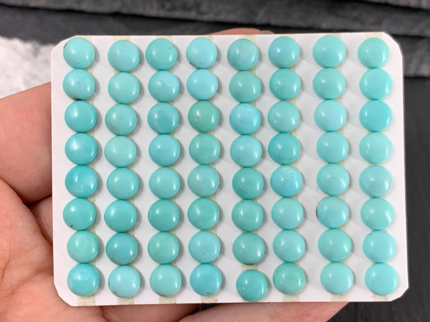 Turquoise round 6mm cabochon - Calibrated cabochons