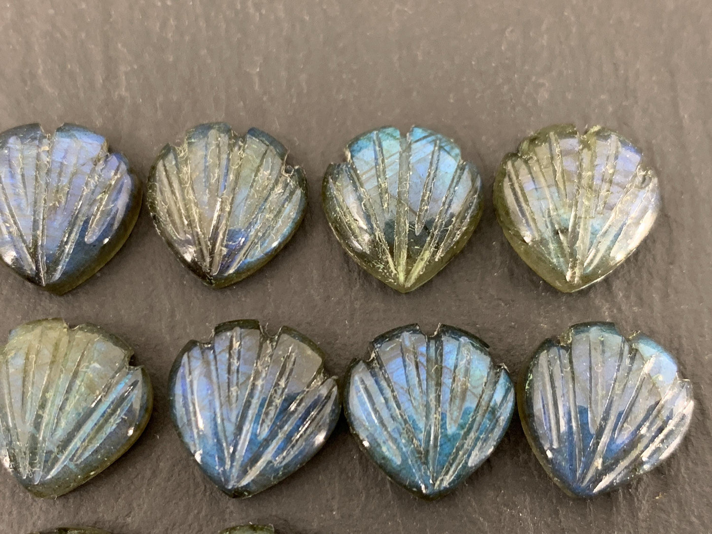 Labradorite Sea shell 12x12mm cabochon carved