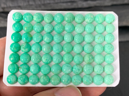 Chrysoprase round 6mm cabochon - Calibrated cabochons