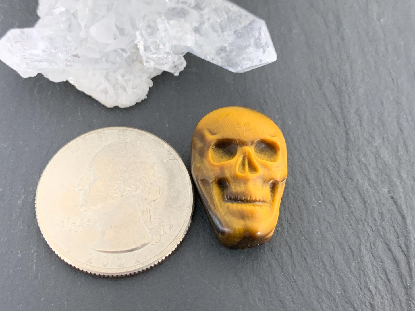 Tiger eye skull 15x22mm cabochon