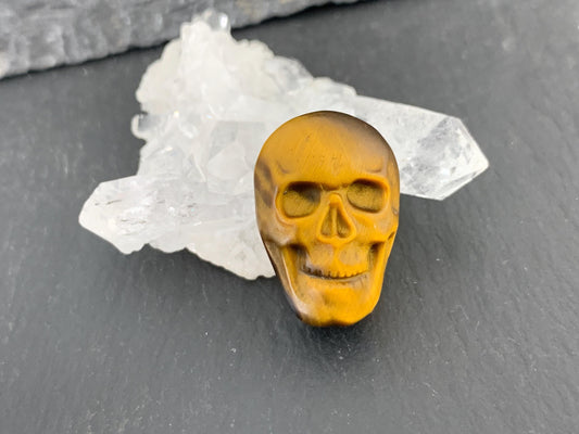 Tiger eye skull 15x22mm cabochon