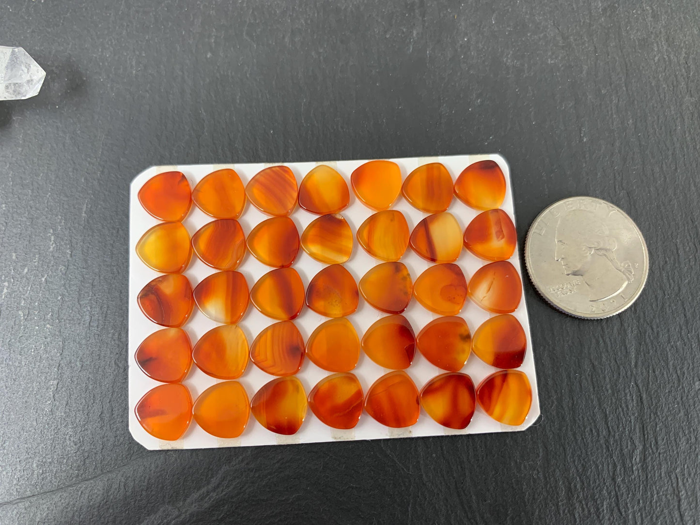Flat Carnelian curved triangle 10mm cabochon - Calibrated cabochons